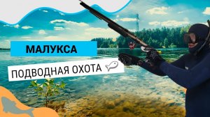Подводная охота карьер Малукса. Самые прозрачные озера и карьеры в Ленинградской области
