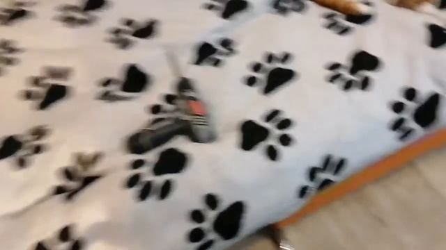 Установка Bluetooth модуля в акустику 2.1 смотреть онлайн