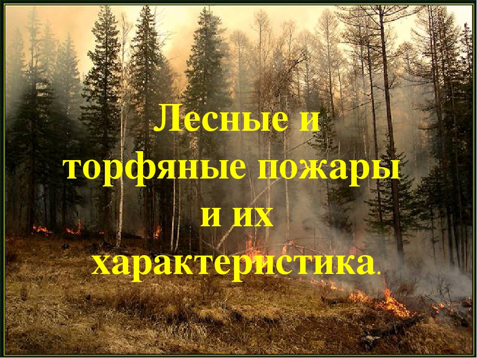 Лесные и торфяные пожары и их характеристики