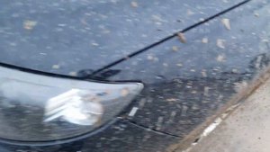 Субару Импреза gh 2.0 покемон после езды по глине.