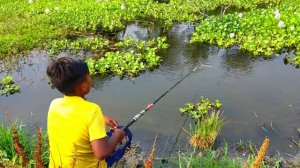 Hook Fishing - Traditional Hook Fishing - MR Fishing Life (Part-13)