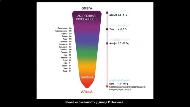 Вибрации человека. Резонанс Шумана.
