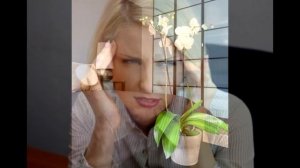 Орхидея Приметы и суеверия