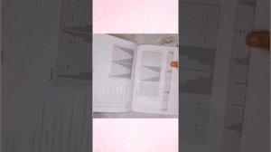 Обзор книги. Шали спицами