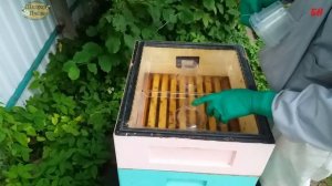 пчеловодство. закорм пчел в зиму, удобные кормушки