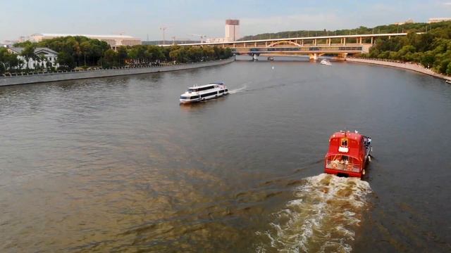 Воробьевы горы с высоты (с квадрокоптера). Москва, июнь 2019 г.