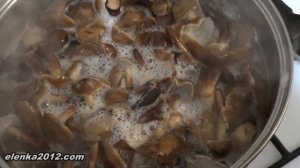 Маринованные опята на зиму, простой рецепт, но самый вкусный