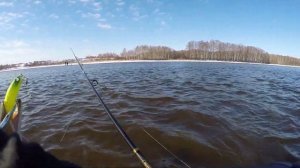 Рыбалка 2019 ГРЭС Волгореченск