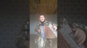 рок песня на гармошке