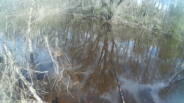 Привет группе «Рыбацкое счастье». Рыбалка на Новгородчине. Рыбалка на Вишерском канале.