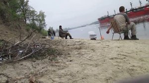 Ловля селедки на Дону.