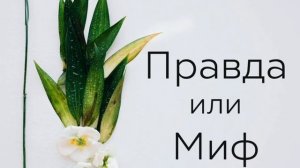 Бруксизм. Скрежет зубами во сне. Лечение.