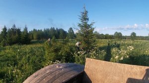 Посев полей для кабана и медведя! Биотехния 2020!