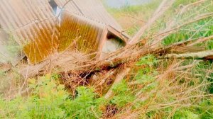 Заброшенная деревня! Оползень посмывал дома