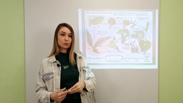 Папоротники ЕГЭ биология смотреть онлайн