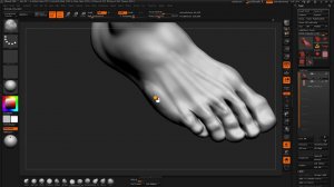 Anat Vol 03 10  General Detail