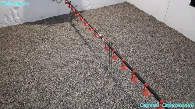 Выращивание бройлеров! Первые дни! Что нужно знать! Напольное содержание!