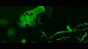 Карлос Кастанеда: Хищники