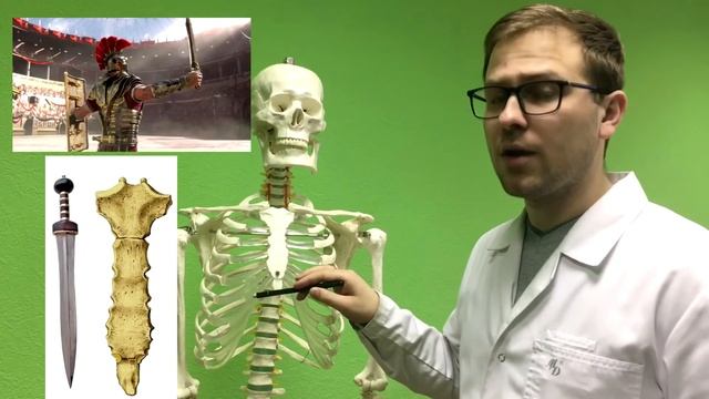 Грудная клетка? смотреть онлайн