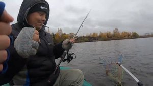 Осенняя ловля щуки на озере. Ловим щуку на силиконовые приманки Keitech и Daiwa.