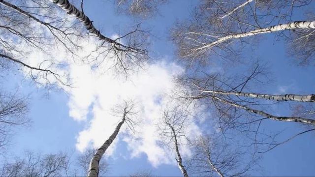 дед и я смотреть онлайн