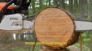 Stihl MS362 VS Stihl MS441c