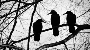 The Three Ravens (Medieval English ballad)