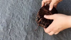 Экопринт на спилах ольхи в луковом настое.