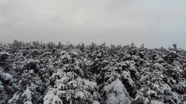 Почему надо кататься в шлеме? Мои жуткие истории из жизни. смотреть онлайн