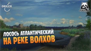 Лосось Атлантический на DP Crank на реке Волхов. Русская Рыбалка 4