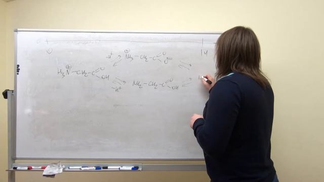 Лекция 13. Аминокислоты