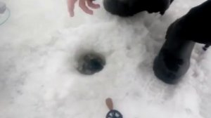 ГОРЕ МОРЕ. Крупная Сорога!