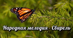 Народная мелодия - Свирель.
