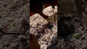 Китайская фреза замена сальника