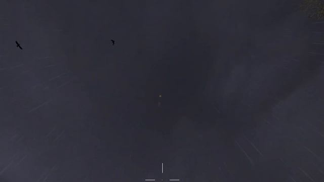 ИГРАЮ В СВОЙ - [S.T.A.L.K.E.R. 2] смотреть онлайн