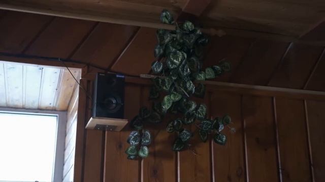 Баня Одиссея Воскресенск смотреть онлайн