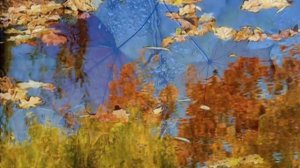 Кружатся листья