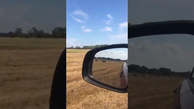 Сенокос ? (1).mp4