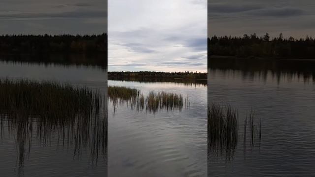 Однодневный поход к Озеру Светлое.
