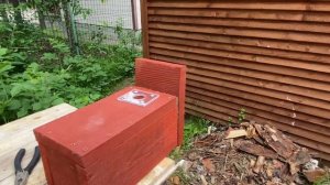 Осмотр незаселённой дуплянки для птиц, 20 июня 2022 года.