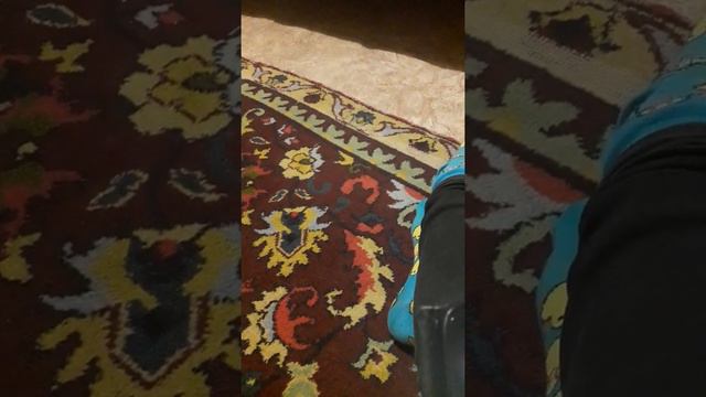 Блестящие чао бамбино.🥥🌸🐳 смотреть онлайн