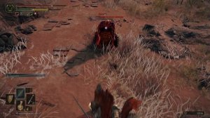 Elden Ring - Рыцари Великого кувшина. Получен склад Великого Кувшина!(NO COMMENTS)