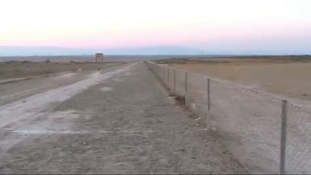 Este PERRO es Más Rápido que un LEÓN *¿Más que un GUEPARDO?* смотреть онлайн