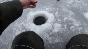 Рождественская рыбалка на плотву. Плюс окунь бонусом)