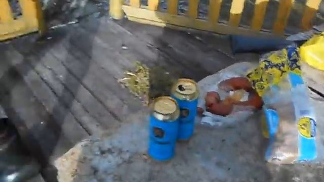 вид из беседки (antidachnik) смотреть онлайн