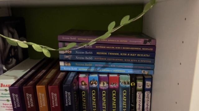 обзор на книжные полки || абсолютно всё