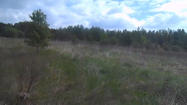 Металлопоиск!отдых на природе с метало детектором    ............НАША ВТОРАЯ ЖИЗНЬ