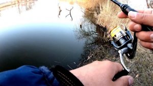 Как найти и поймать судака. Ловля судака на джиг весной. Советы рыболова любителя.