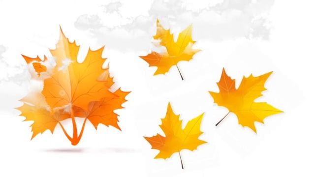 Ёж Е. Стюарт #развивающиемультикидлядетей смотреть онлайн