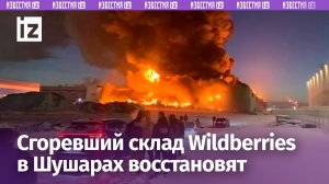 Склад Wildberries в Шушарах восстановят и введут в эксплуатацию к концу года — гендиректор на ПМЭФ